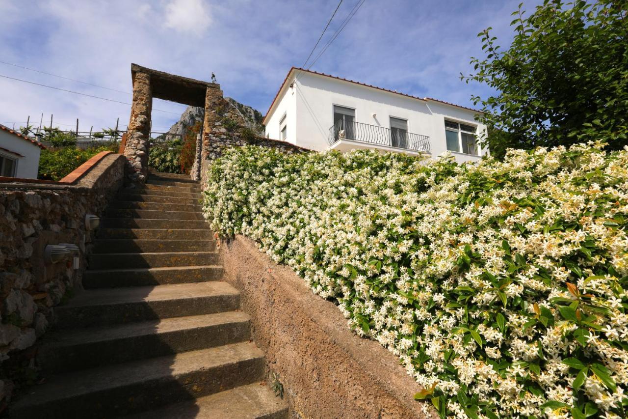 My Home Capri Seaview Eksteriør billede